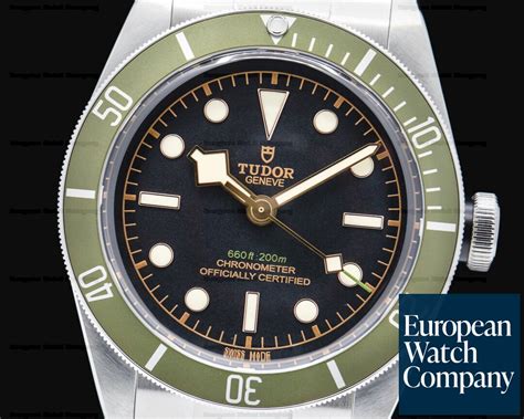 tudor heritage verde|tudor heritage 79230g.